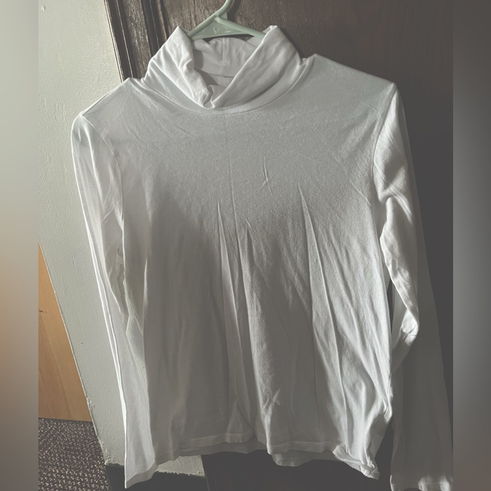 Everlane Turtleneck
